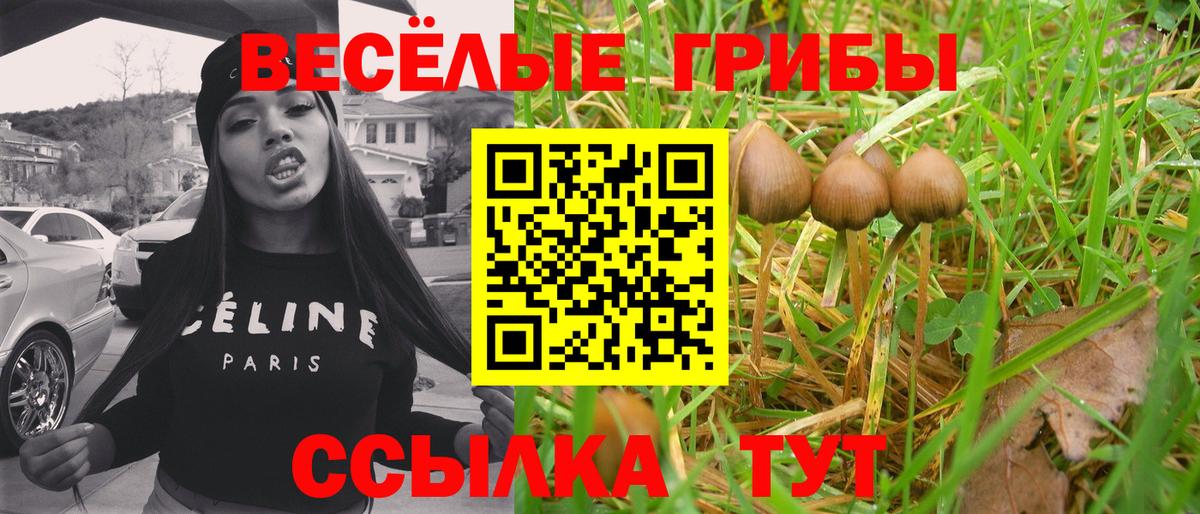 Галлюциногенные грибы GOLDEN TEACHER Энгельс