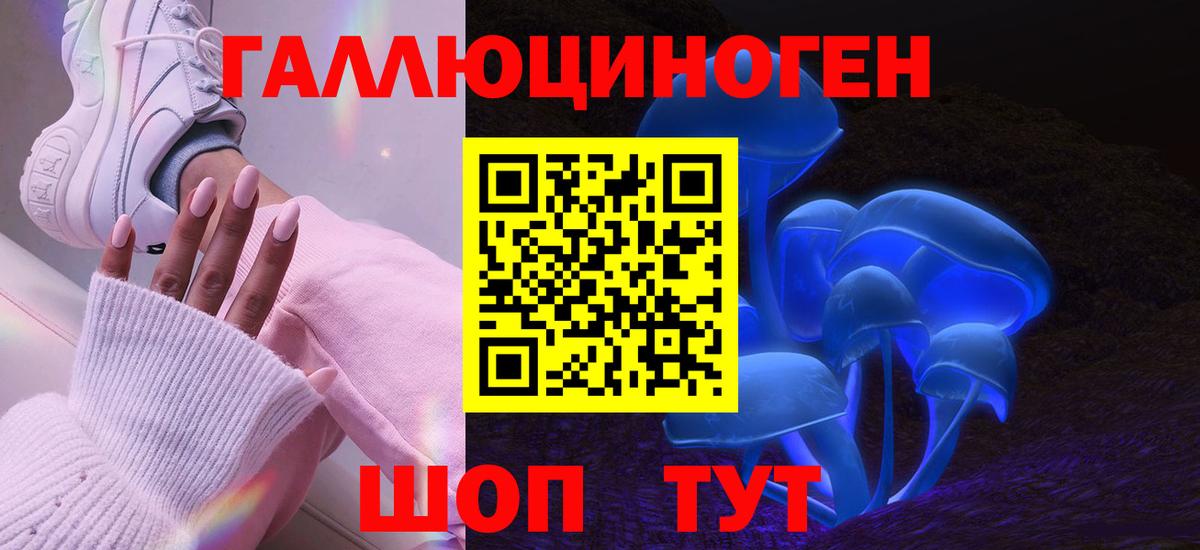 Псилоцибиновые грибы GOLDEN TEACHER  Вход с VPN  Энгельс 